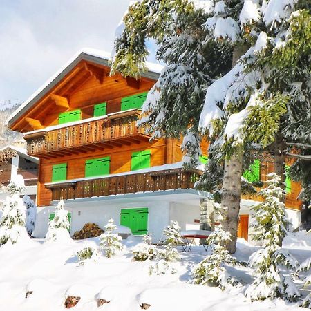 Willa Chalet Christina Verbier Zewnętrze zdjęcie