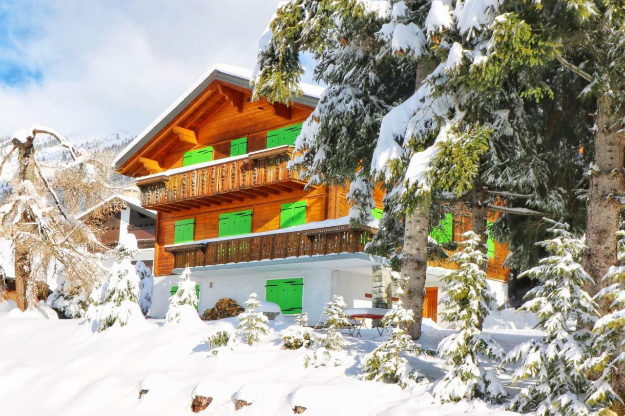 Willa Chalet Christina Verbier Zewnętrze zdjęcie